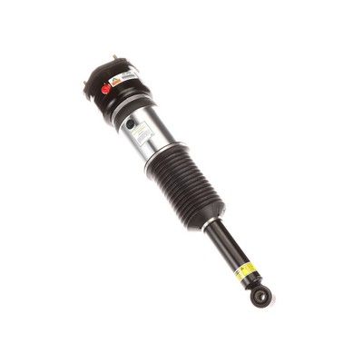 LUFTFEDERBEIN Arnott AS2856 56