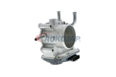 CARCASA CLAPETA ACKOJA A52810003 53