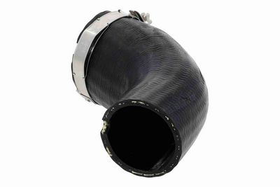 FURTUN EAR SUPRAALIMENTARE ACKOJA A520884 4