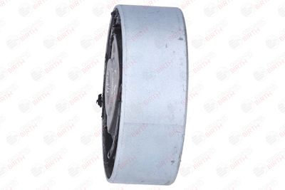 RULMENT DIFERENTIAL BIRTH 50229 10