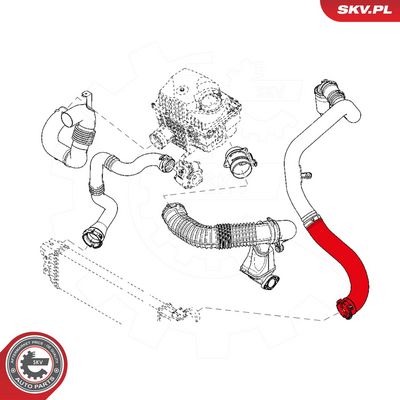 Kompresoriaus padavimo žarna