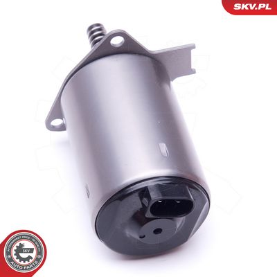 Řídicí prvek, excentrická hřídel (variabilní zdvih ventilu) SKV 96SKV087