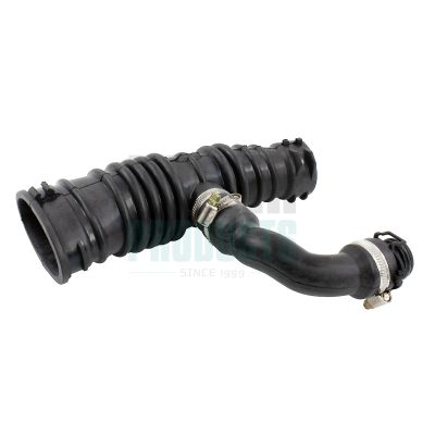 FURTUN EAR SUPRAALIMENTARE