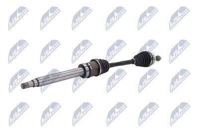 PLANETARA NTY NPWBM131 3