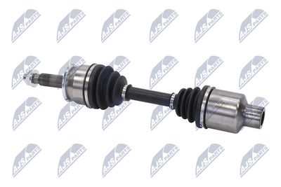 PLANETARA NTY NPWDW076 26