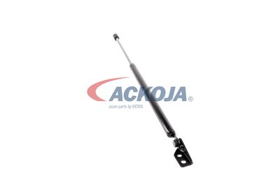 AMORTIZOR PORTBAGAJ ACKOJA A520066 45