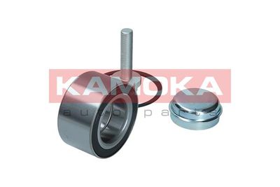 Wheel Bearing Kit 5600186