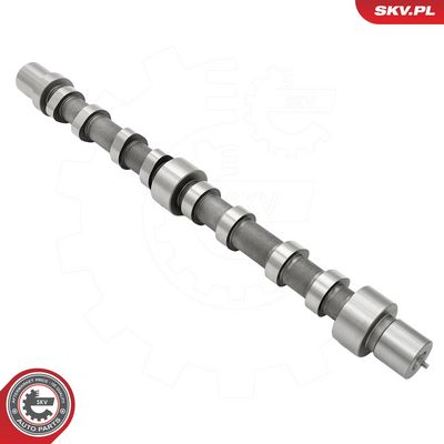 AX CU CAME ESEN SKV 80SKV024 4