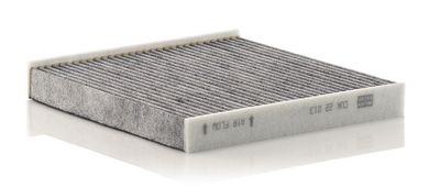 Filtras, salono oras