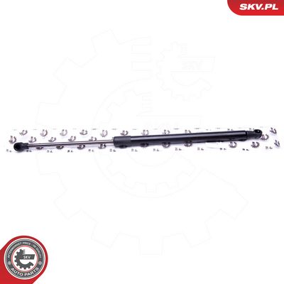 Dujinė spyruoklė, bagažinė