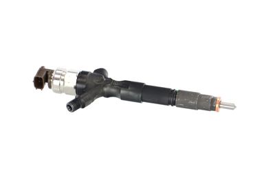 INJECTOR REMANTE 002003002073R 44