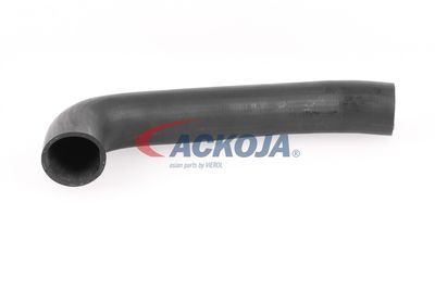 FURTUN EAR SUPRAALIMENTARE ACKOJA A379602 58