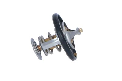 TERMOSTAT LICHID RACIRE NRF 725087 37