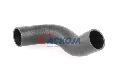 FURTUN EAR SUPRAALIMENTARE ACKOJA A380298 15