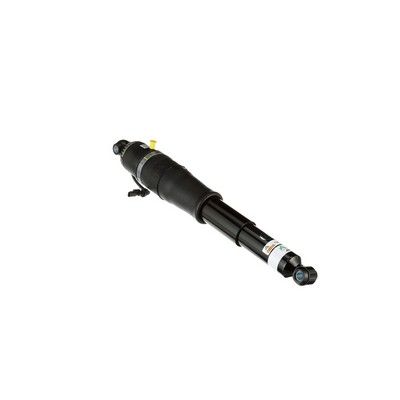 LUFTFEDERBEIN Arnott AS3066 43