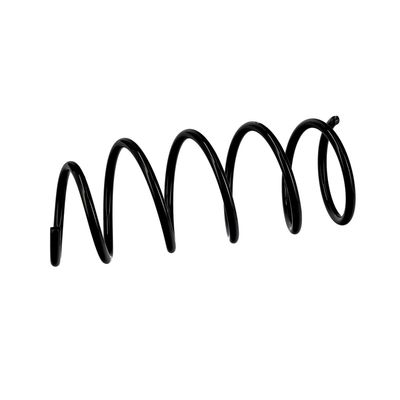 ARC SPIRAL EIBACH R10077 18