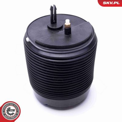 ARC PNEUMATIC DIRECTIE ESEN SKV 58SKV072 2