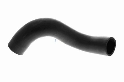 FURTUN EAR SUPRAALIMENTARE ACKOJA A389606 1