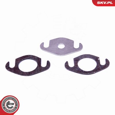 SET DE REPARAțIE SUPAPă AGR ESEN SKV 14SKV501 1