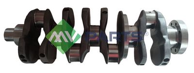 ARBORE COTIT MV Parts MVD3560 3