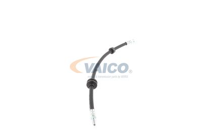 FURTUN FRANA VAICO V240328 40