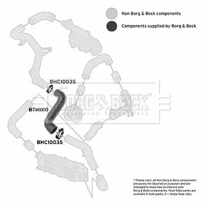 Charge Air Hose Borg & Beck BTH1110