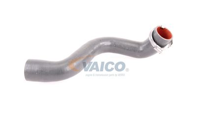 FURTUN EAR SUPRAALIMENTARE VAICO V460823 57