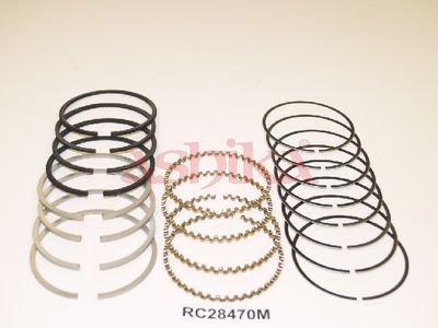 SEGMENT PISTON