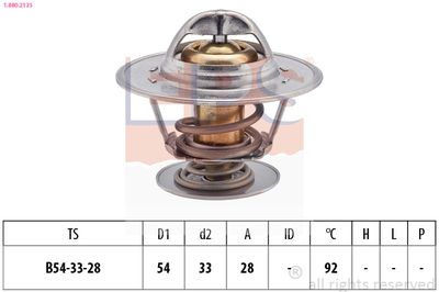 TERMOSTAT LICHID RACIRE