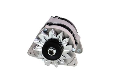GENERATOR / ALTERNATOR REMANTE 011003000066R 58