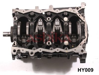 MOTOR EXCLUZAND ACCESORIILE ASHIKA HY009 1