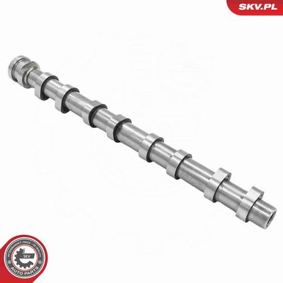 AX CU CAME ESEN SKV 80SKV070 1