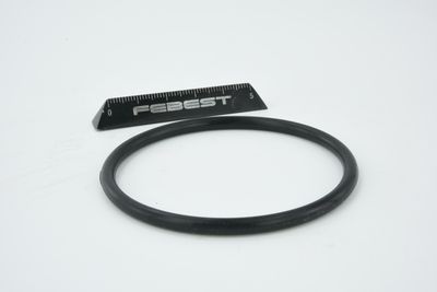 ETANșARE CARCASă CLAPETă FEBEST RINGAH010 24