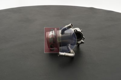 KüHLER ABGASRüCKFüHRUNG AKS DASIS 045181N 14
