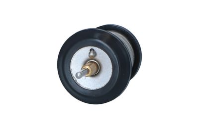 TERMOSTAT LICHID RACIRE NRF 725250 6