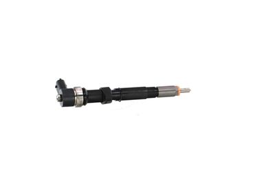 INJECTOR REMANTE 002003000015R 38