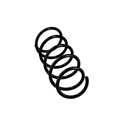 ARC SPIRAL EIBACH R10108 12