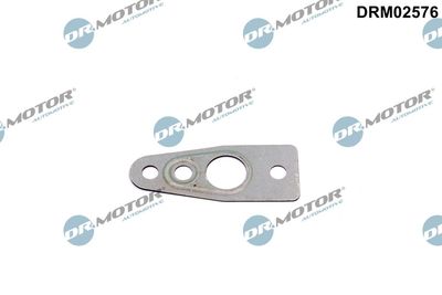 Uszczelnienie, odpływ oleju (doładowanie) DR.MOTOR AUTOMOTIVE DRM02576