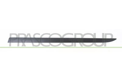 ELEMENTE DECORATIVE/PROTECTIE PORTIERA PRASCO OP0341433