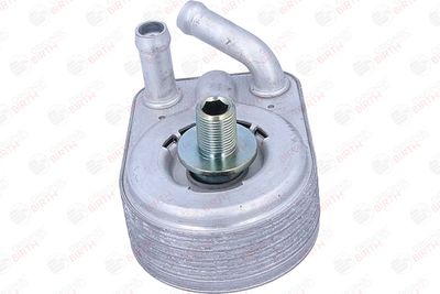 RADIATOR ULEI ULEI MOTOR BIRTH 80822 10