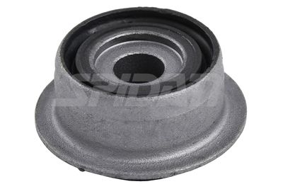 LAGERUNG ACHSKöRPER