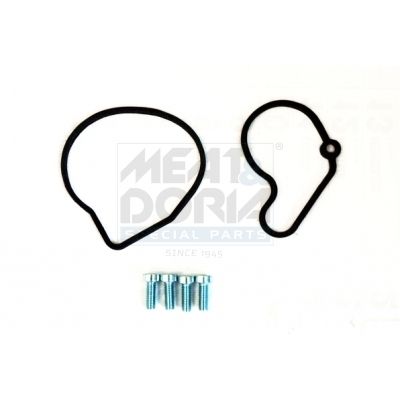 SET REPARATIE POMPA VACUUM (SISTE FRANA)