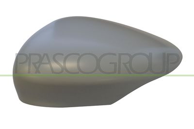 ACOPERIRE OGLINDA EXTERIOARA