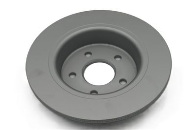 Remschijf LTP 221013