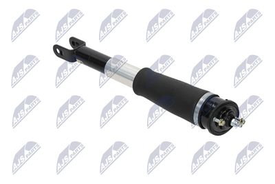 AMORTIZOR NTY ACH007 29