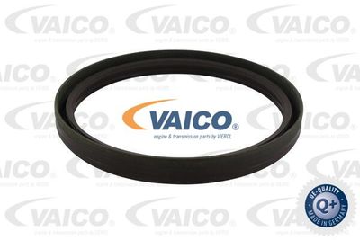 Уплотняющее кольцо, коленчатый вал VAICO V40-1801 для ASTON MARTIN V8