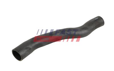 FURTUN EAR SUPRAALIMENTARE FAST FT01046 1