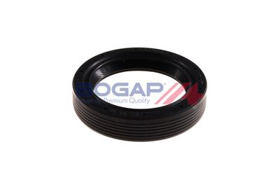 SIMERING ARBORE COTIT BOGAP A1119112 4