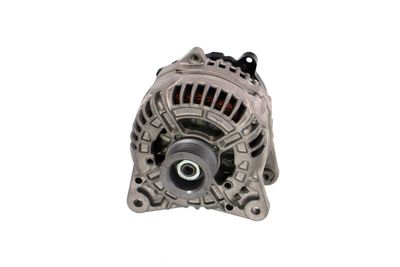 GENERATOR / ALTERNATOR REMANTE 011003000699R 59