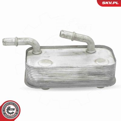 RADIATOR ULEI ULEI MOTOR ESEN SKV 31SKV281 2